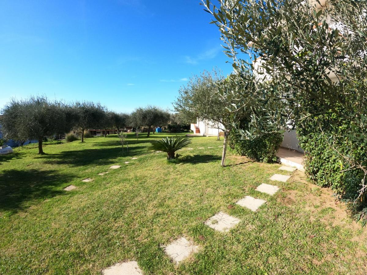 Agriturismo Seaview Capo Vaticano Exterior foto