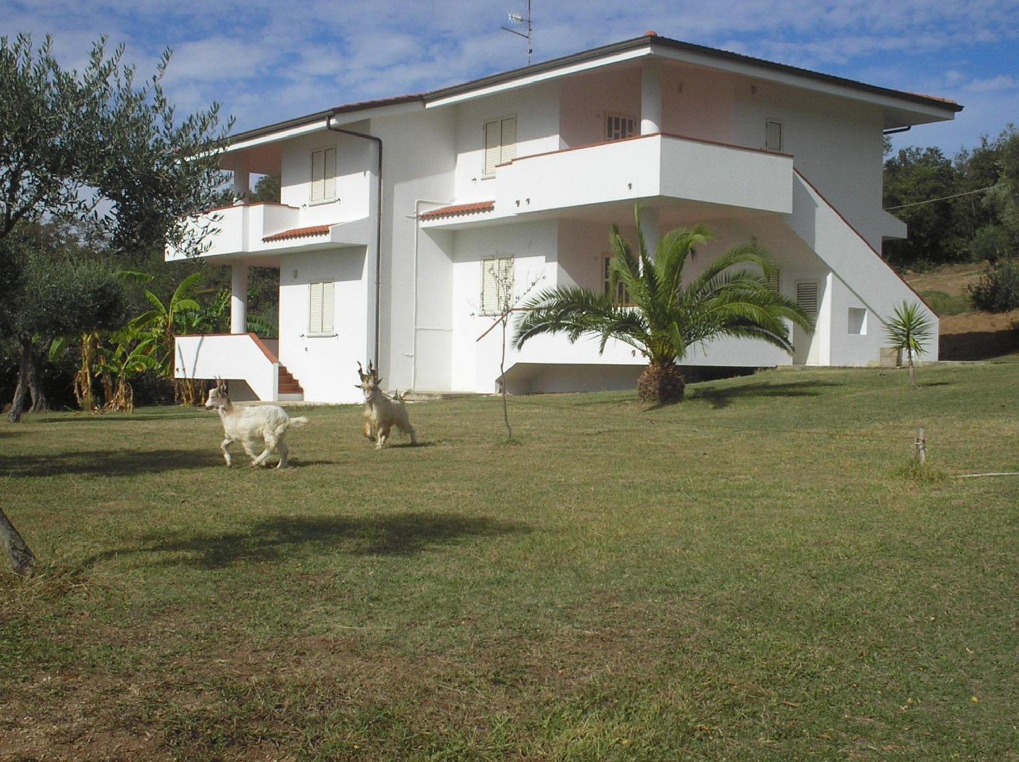 Agriturismo Seaview Capo Vaticano Exterior foto